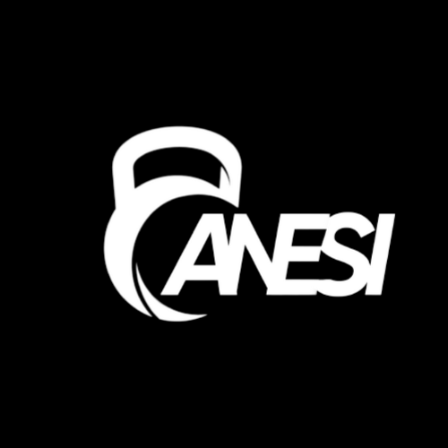 Manual Logo - Anesi GYM.png