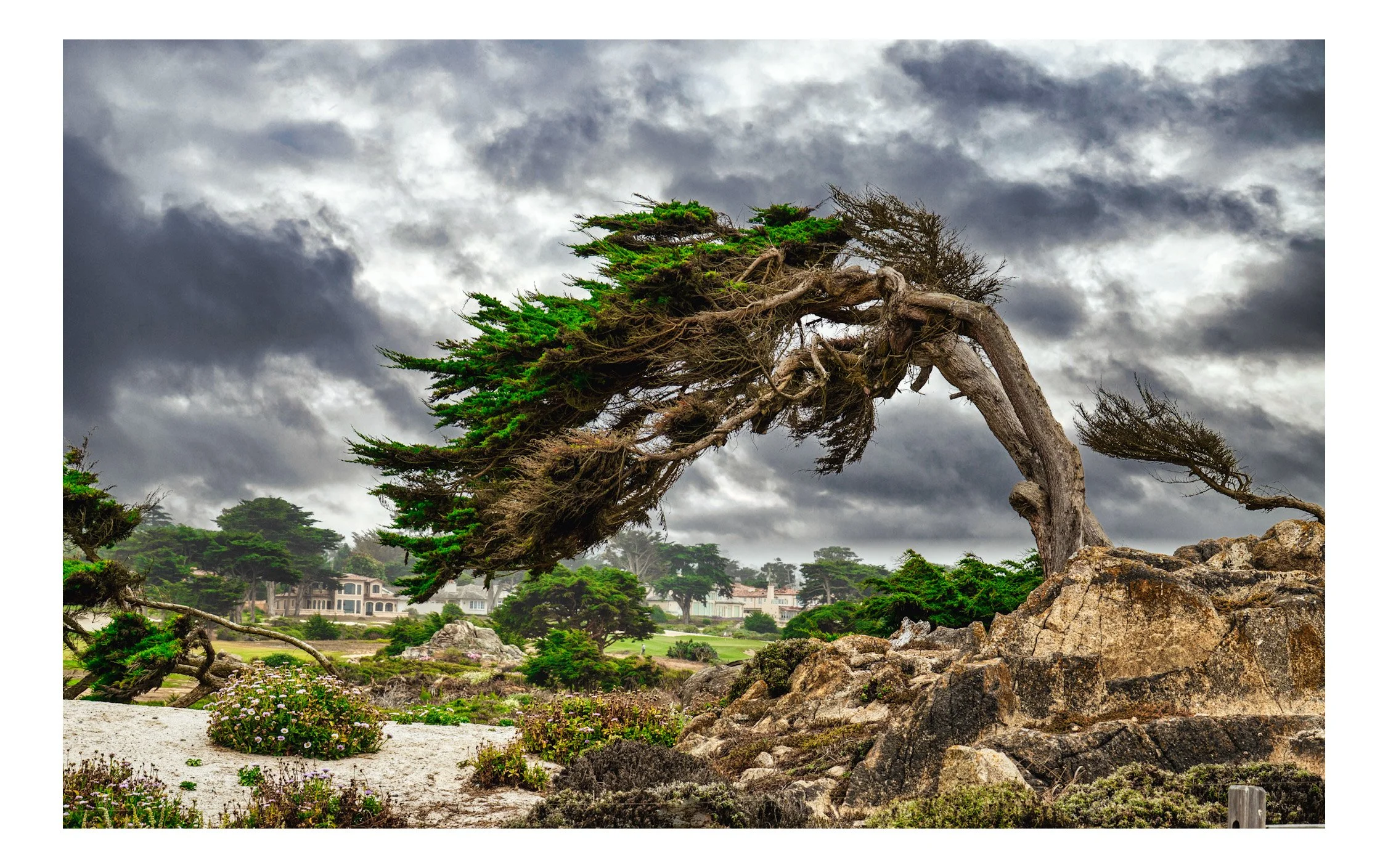 Pebble Beach Golf Course on 17 Mile Drive Monterrey California