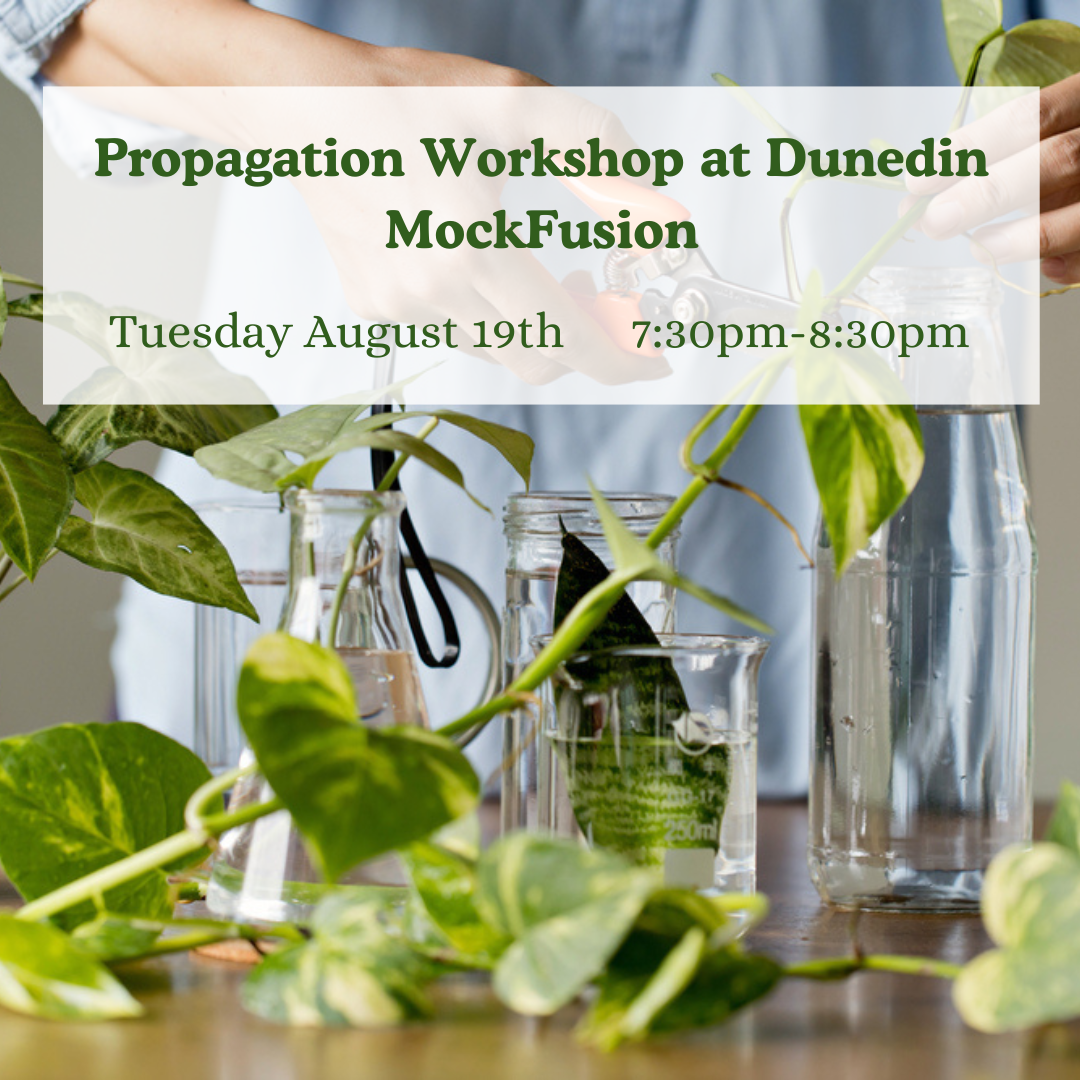 Propagation Workshop with Evergreen Plant Experience