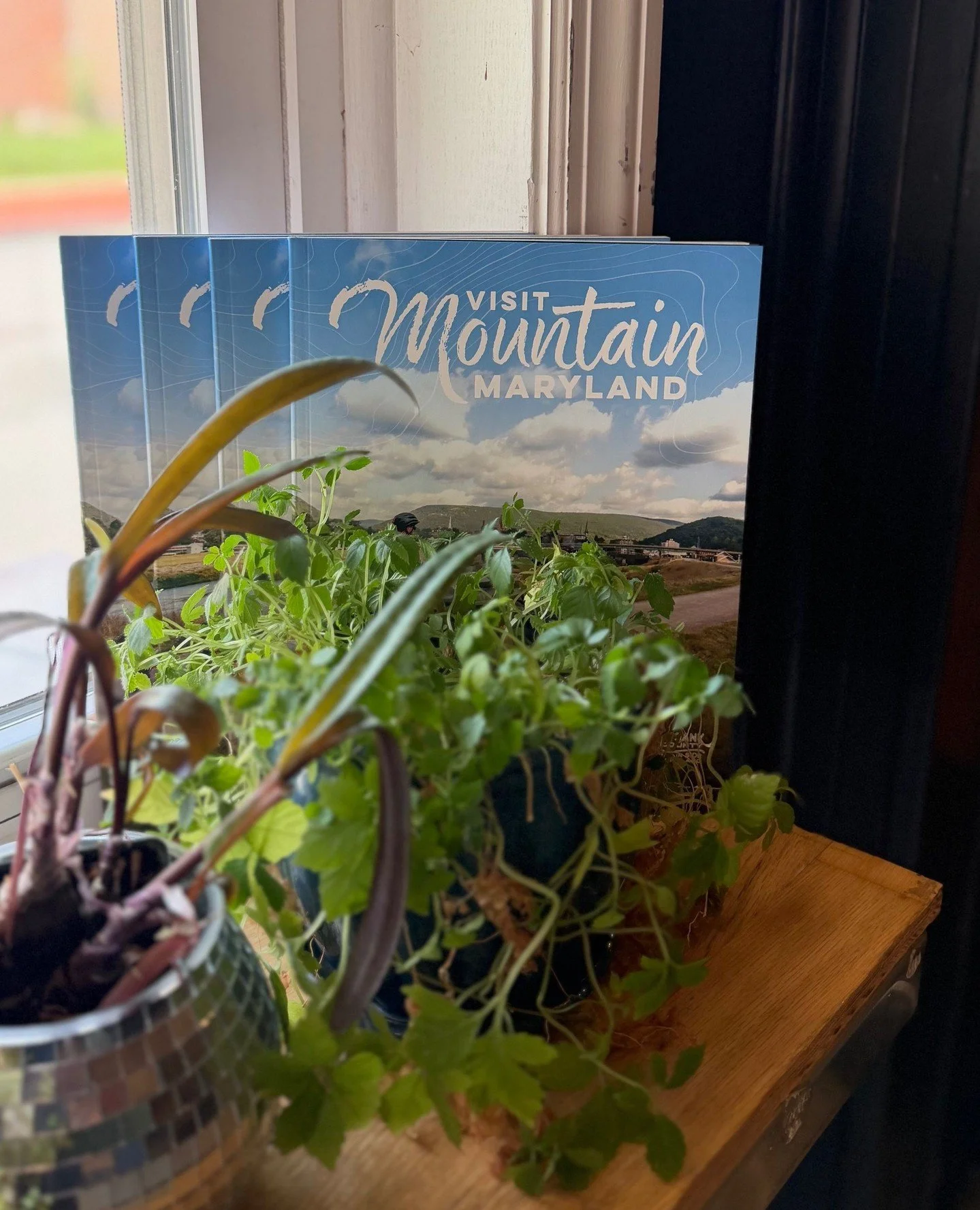 The right space makes all the difference.⁠
⁠
Cumberland has it. From downtown storefronts to industrial sites, the options are real and available.⁠
⁠
Check the link in bio for more information ⁠
⁠
#CommercialRealEstate #SiteSelection #CumberlandMD #C