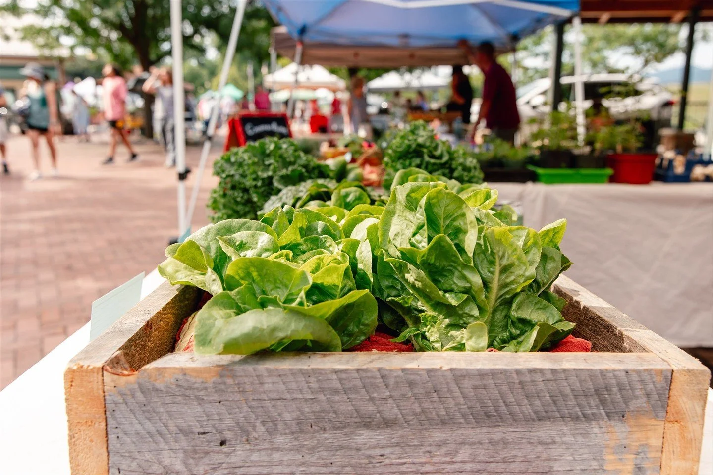 Fresh. Local. Worth getting up for.⁠
The Cumberland Farmers Market is open every Thursday and the vendors are ready for you. Come see what is growing this season.
