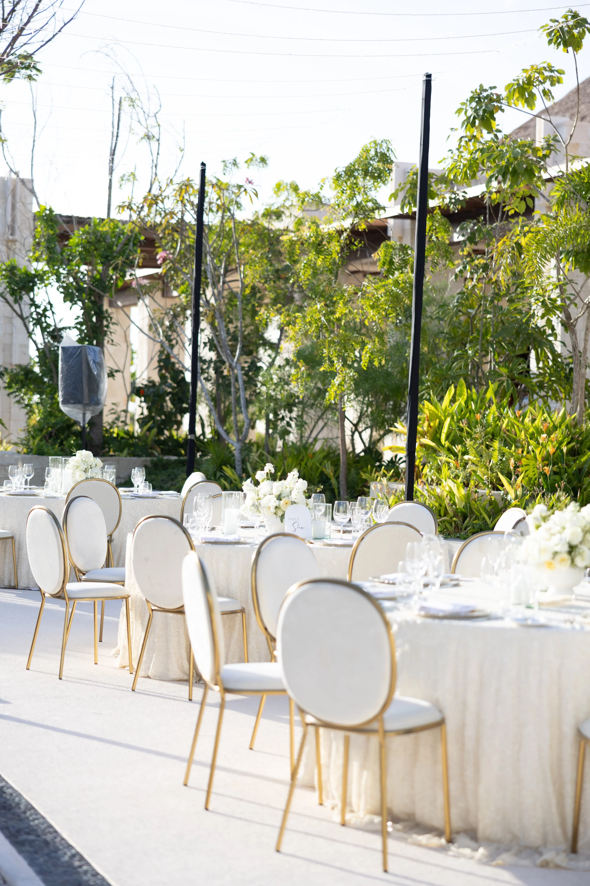 Mesas decoradas para un evento con flores blancas, copas y platos en un ambiente exterior con árboles y vegetación.