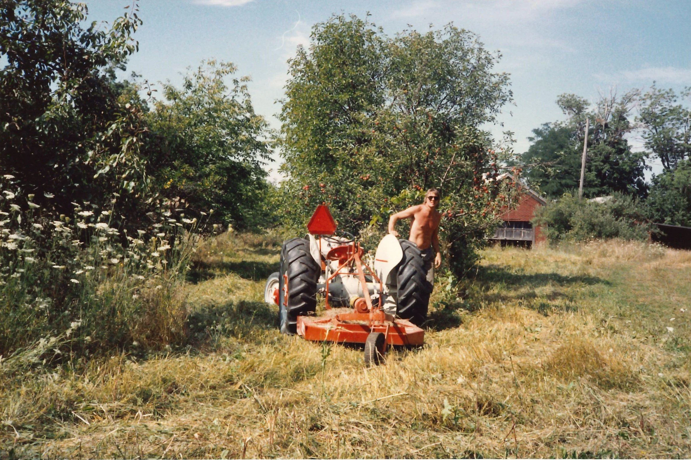 Orchard_DavidVanNostrand_1993 or 1994.jpg