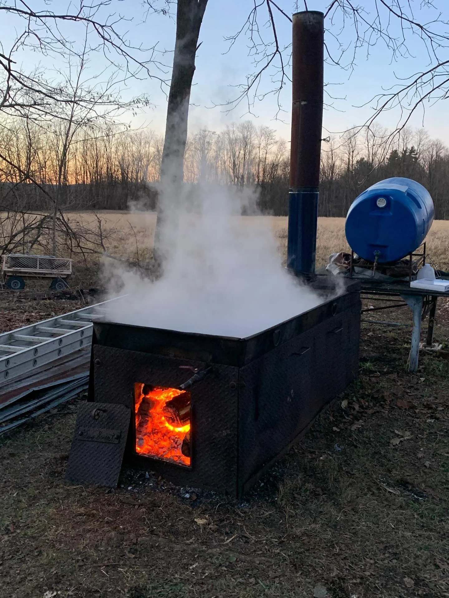 It's Maple Syrup season at @arqbarnmecklenburg 🥞

We don't have a sugar bush per se, but we do have 11 Sugar Maples all over 100 years old spread around the land. ARQtist Chris Langenberg made this "Too Sweet" sap evaporator in the Durand'