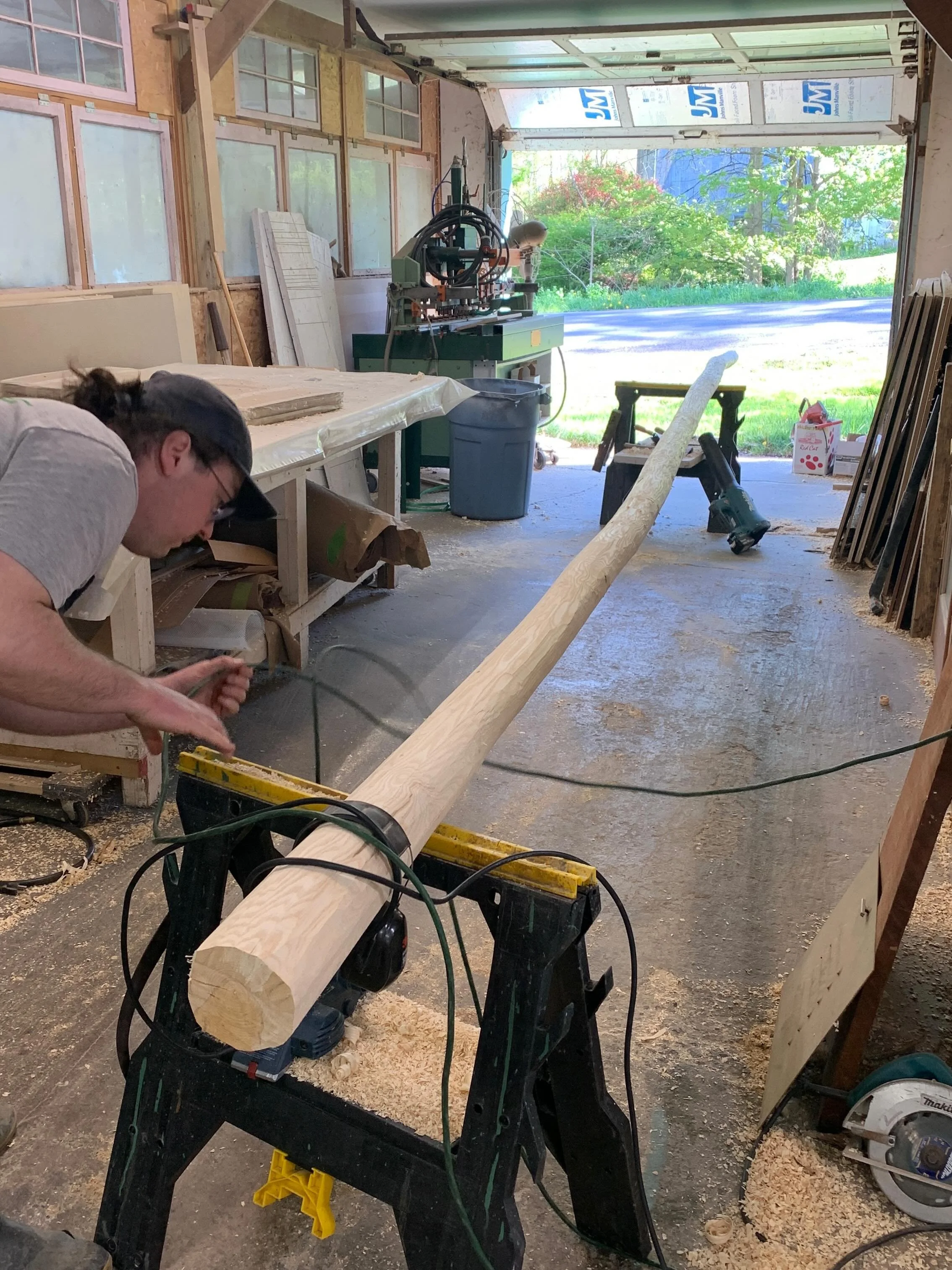 Like many areas across NYS, the White Ash trees at ARQ have been hit hard by the invasive Emerald Ash Borer insect over the last decade. Most of our trees were fairly young, growing along the small creek that crosses Carman Rd, spanning both sides of