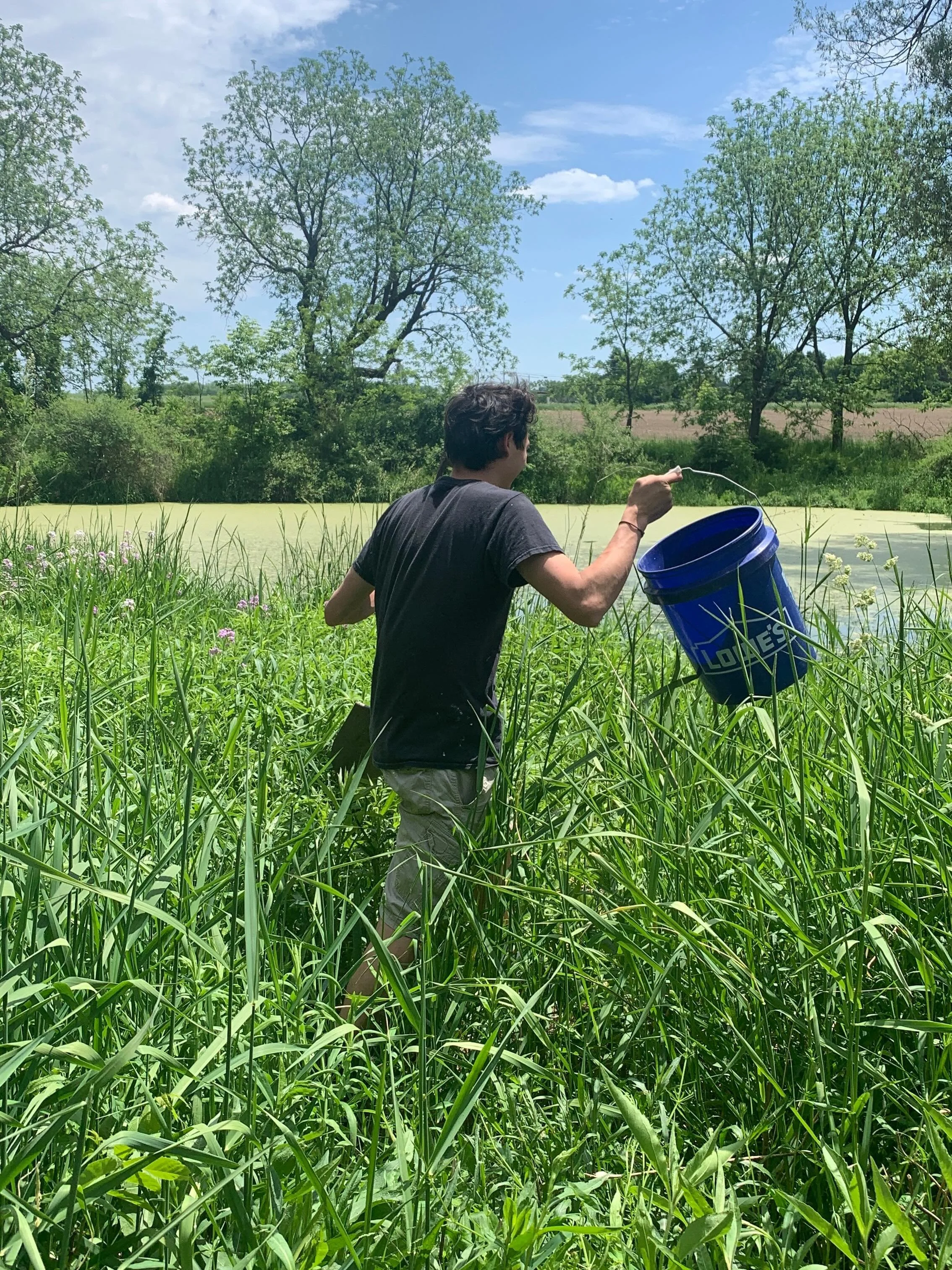 Last night an email came through from @soilfactory_air listserv (definitely our favorite arts/environment/community email thread around) from an Ithaca artist seeking "pond goo" for a projector art installation to show in tandem with a live