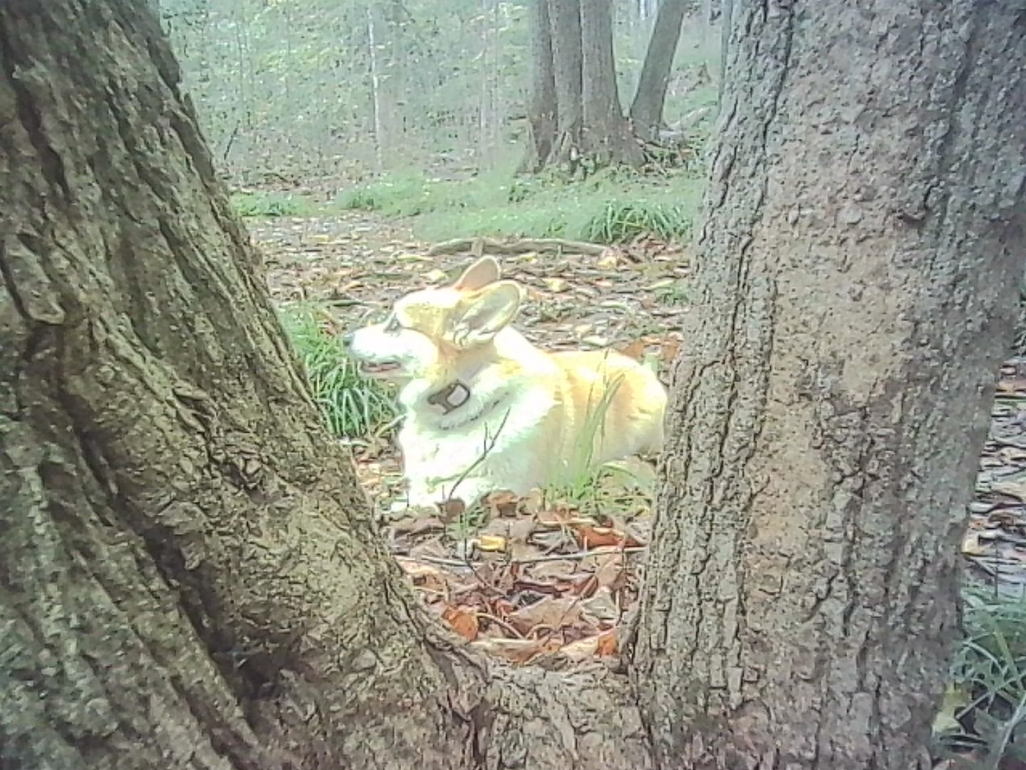 PICT0283.jpg