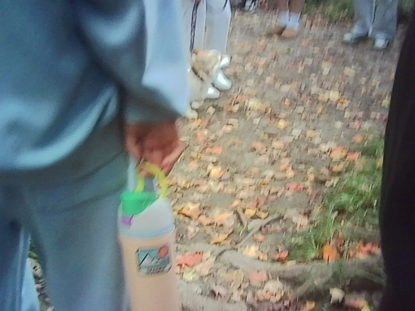 PICT0274.jpg