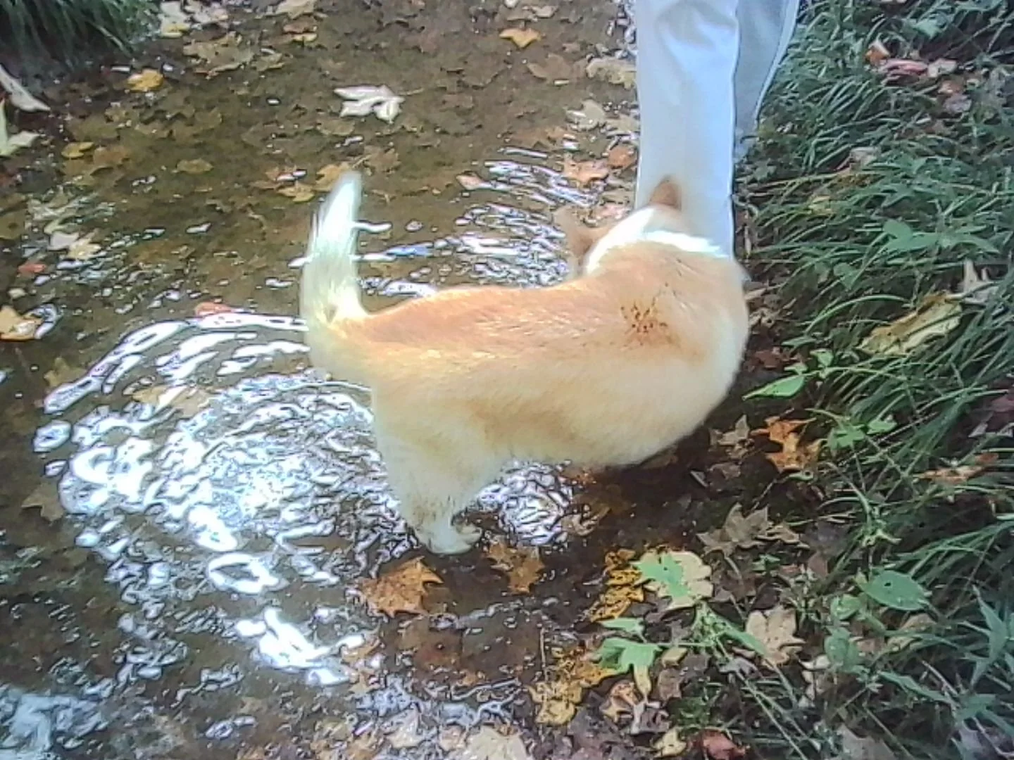 PICT0290.jpg