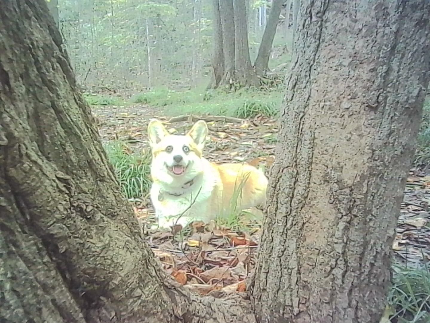 PICT0285.jpg