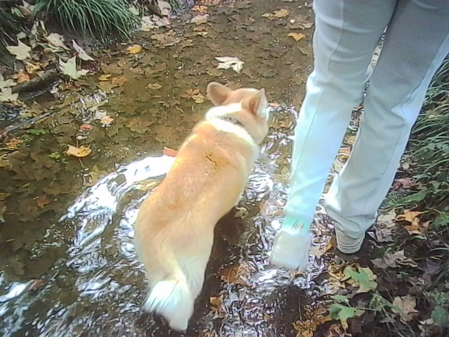 PICT0288.jpg