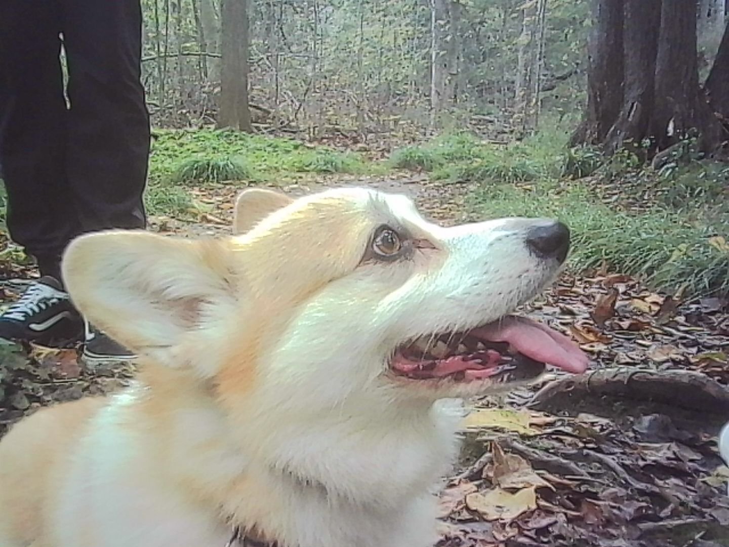 PICT0281.jpg