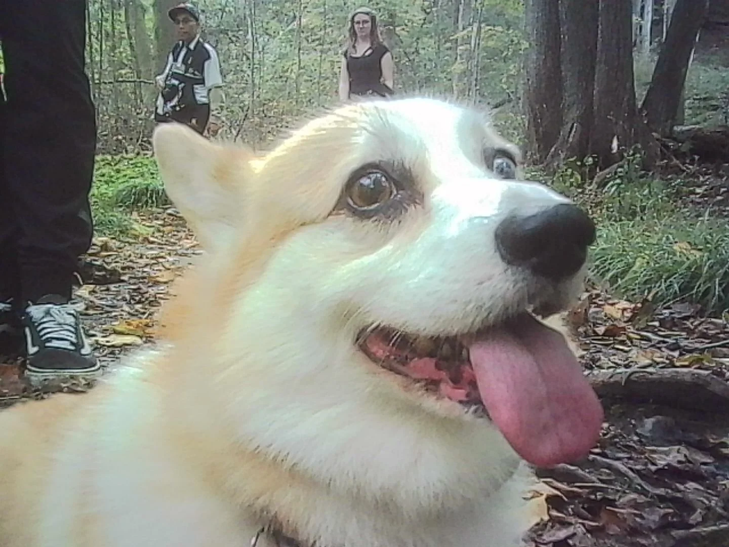PICT0278.jpg