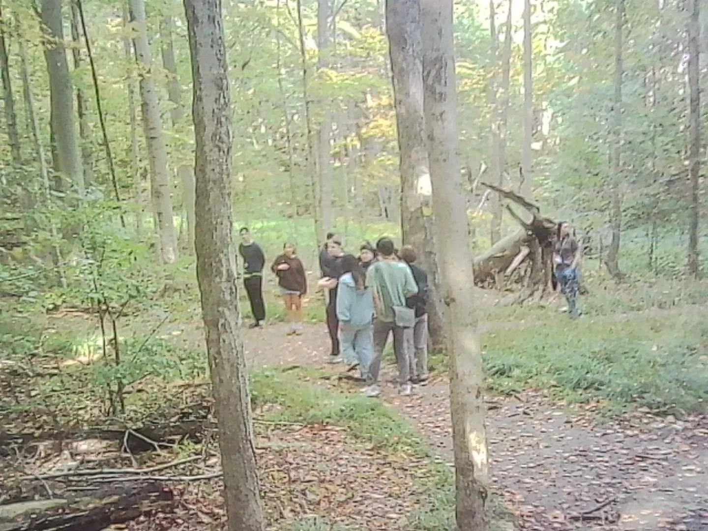 PICT0271.jpg