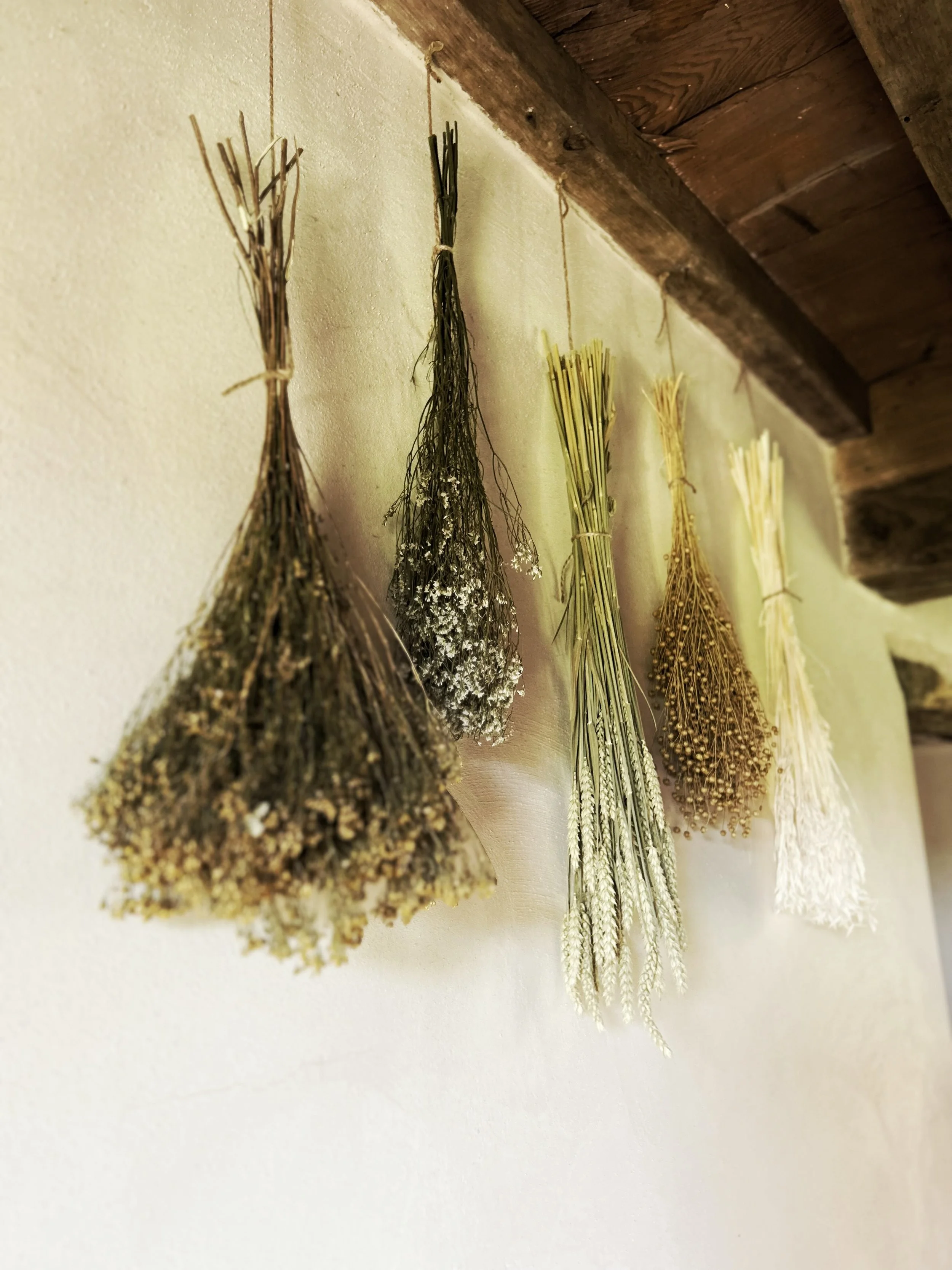 Différents bouquets de plantes séchées suspendus au mur, traditionnellement utilisés pour la décoration ou la parfumerie.