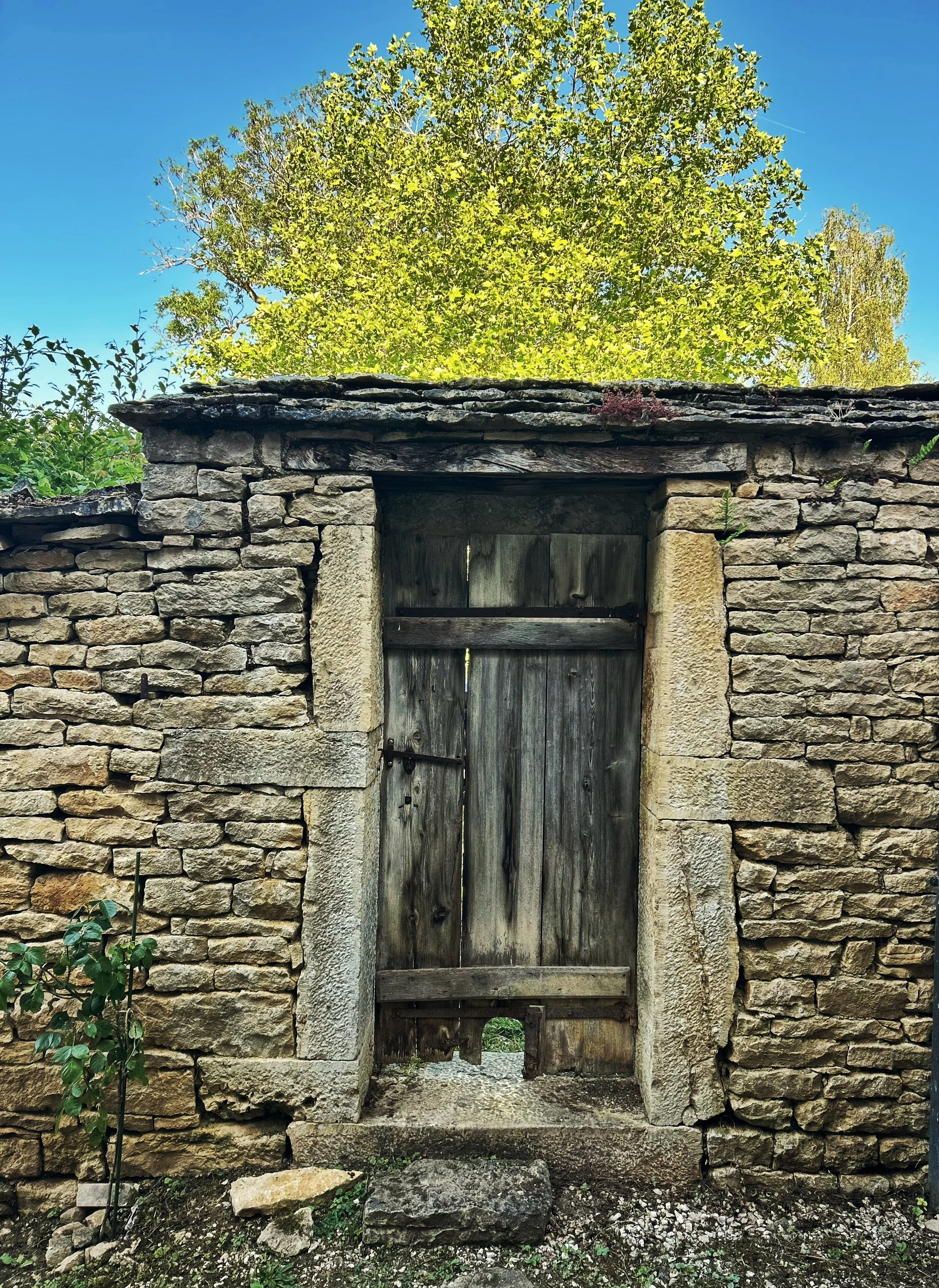Une vieille porte en bois dans un mur en pierre, avec un arbre feuillu en arrière-plan et un ciel bleu clair.