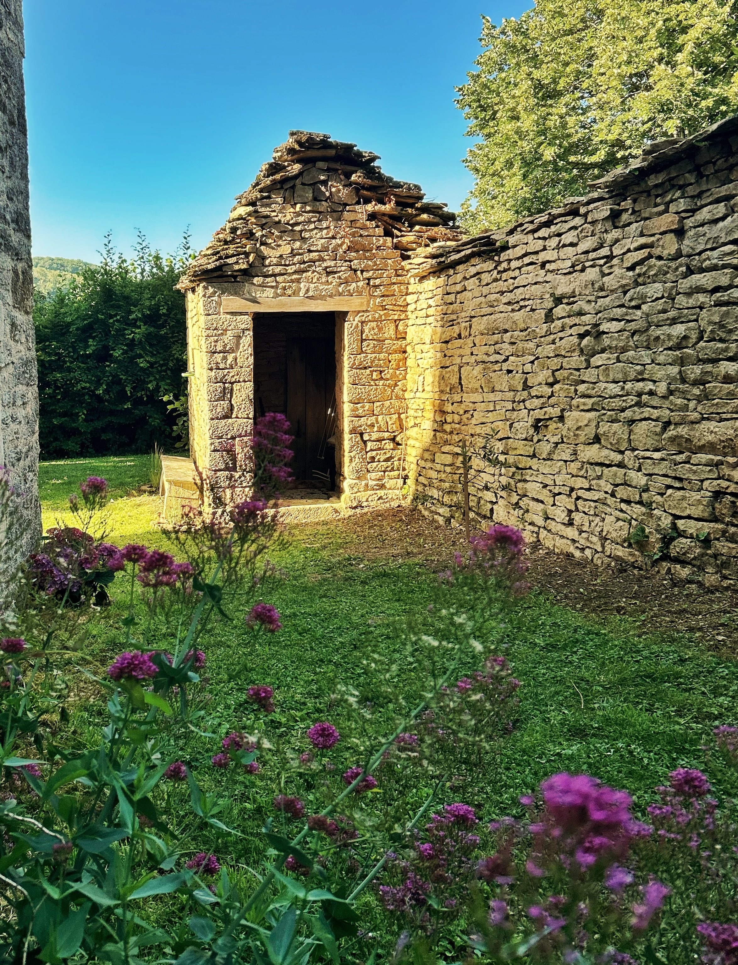 Une vieille petite maison en pierre avec un toit en tuiles plates se trouve dans un jardin, entourée de végétation et de fleurs violettes. Un arbre feuillu est visible en arrière-plan contre un ciel bleu clair.