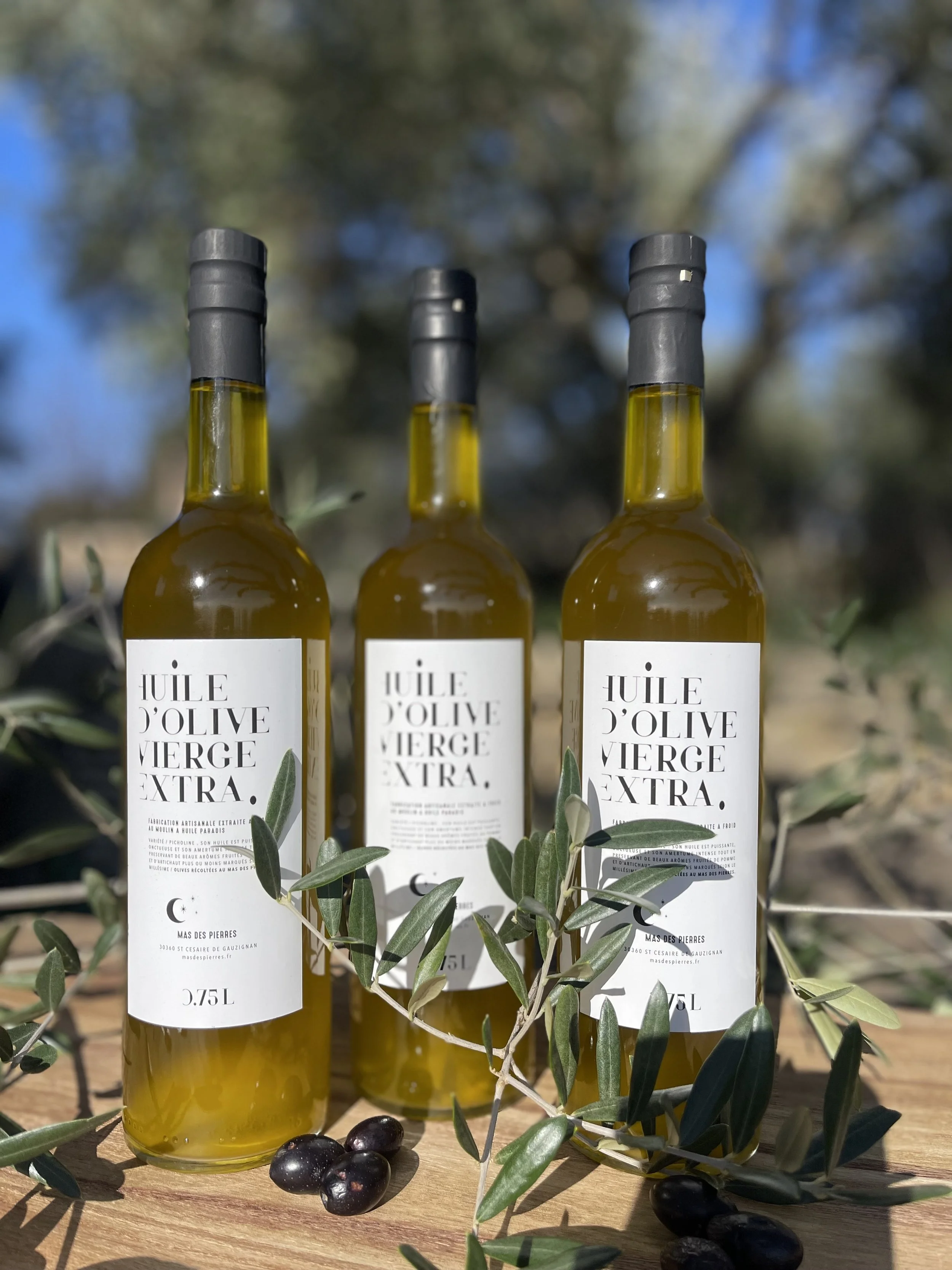 Vente en directe de notre production d'huile d'olive.