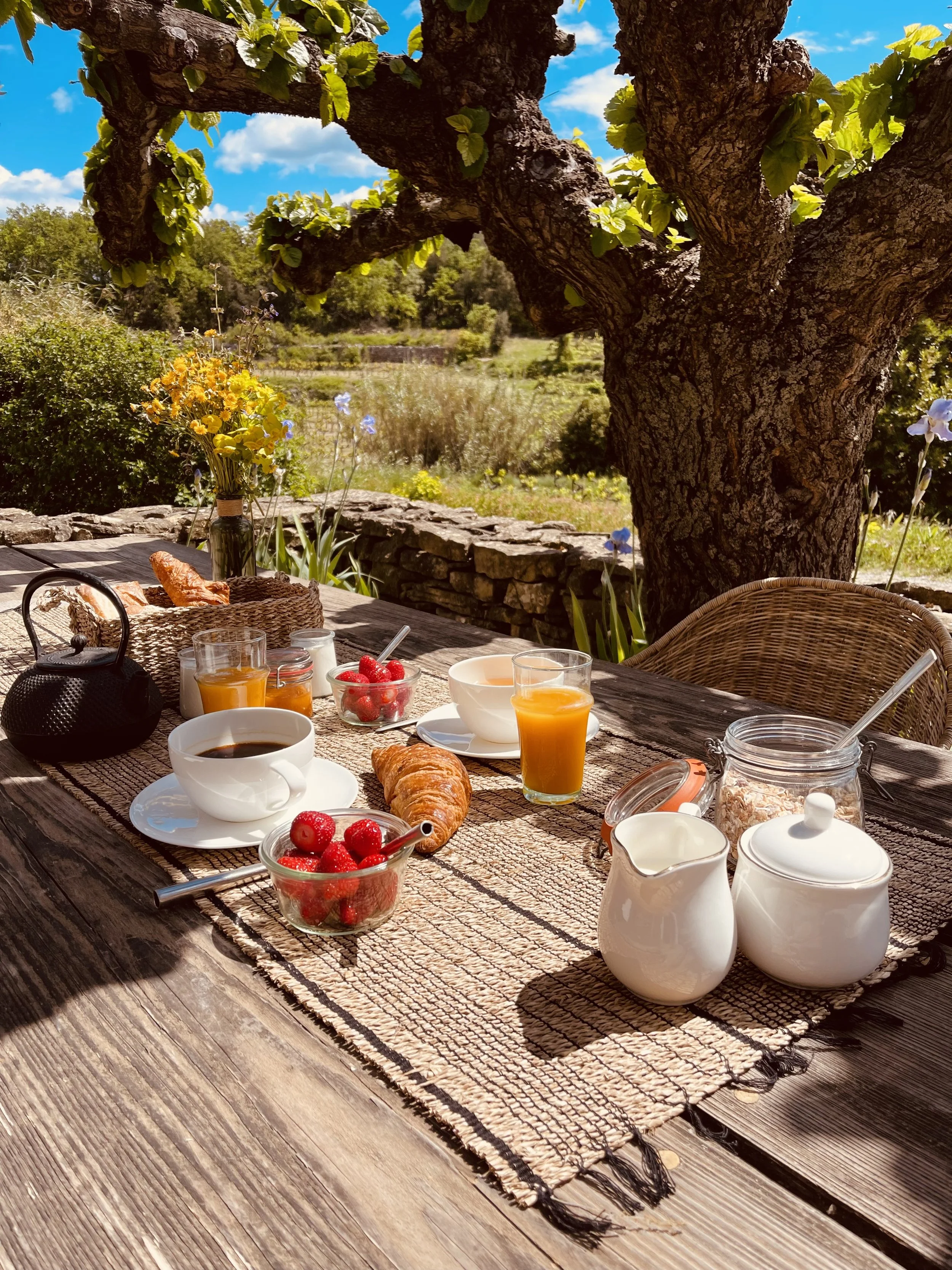 Sur réservation :
Le petit-déjeuner composé de pain, viennoiseries, confitures et jus de fruits : 12,50 €/pers.
