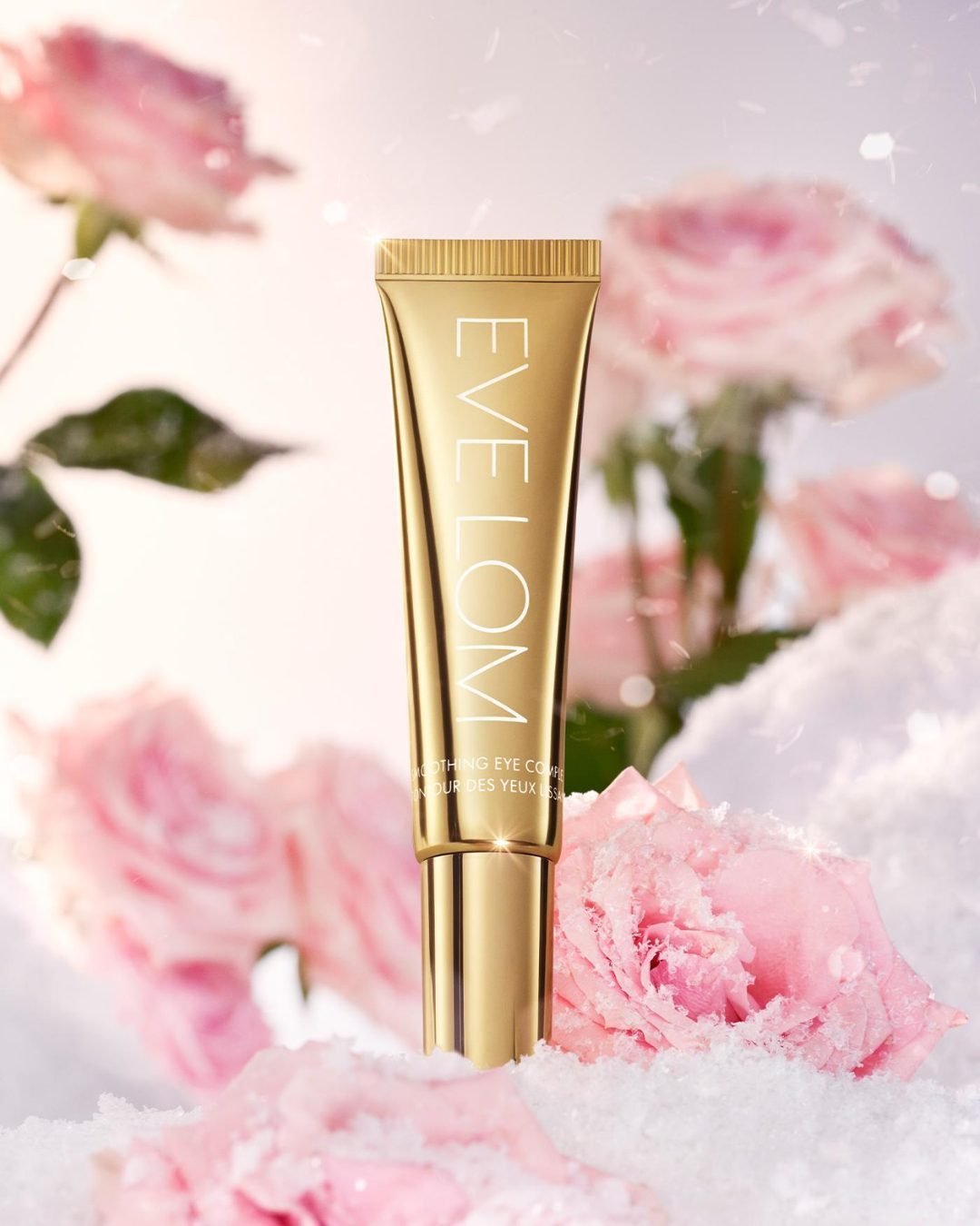 evelom_1733842833_3520036012695188312_558806590.jpg