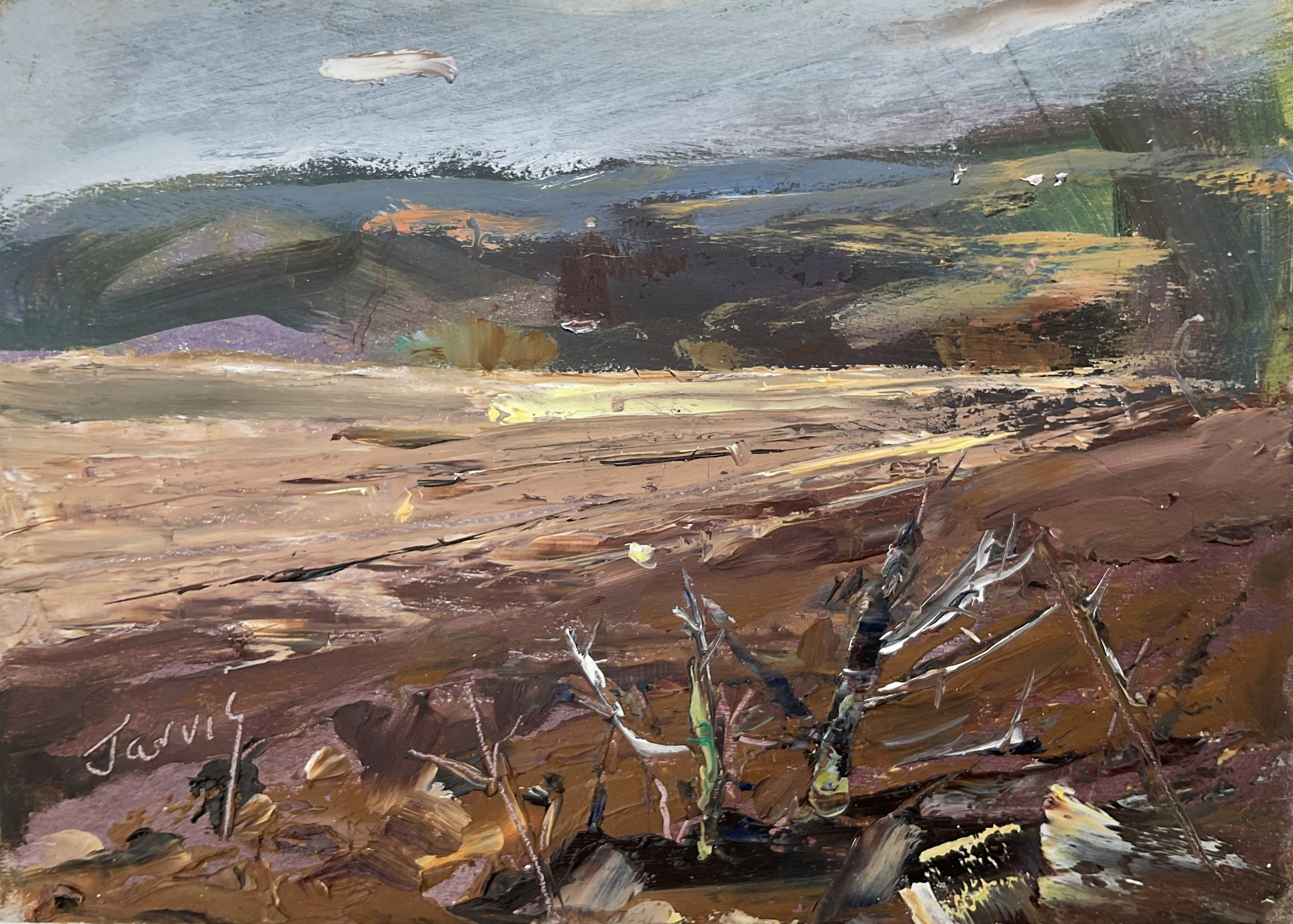 The barley sow, a field near Bisley.JPG