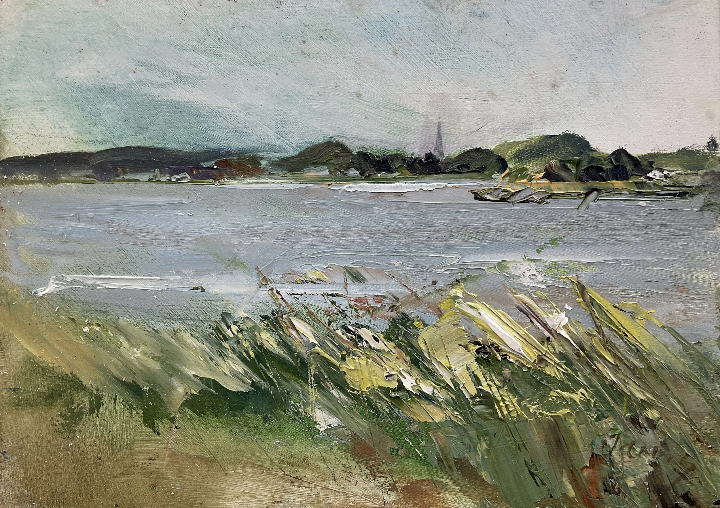 The spire of Westbury church from The River Severn