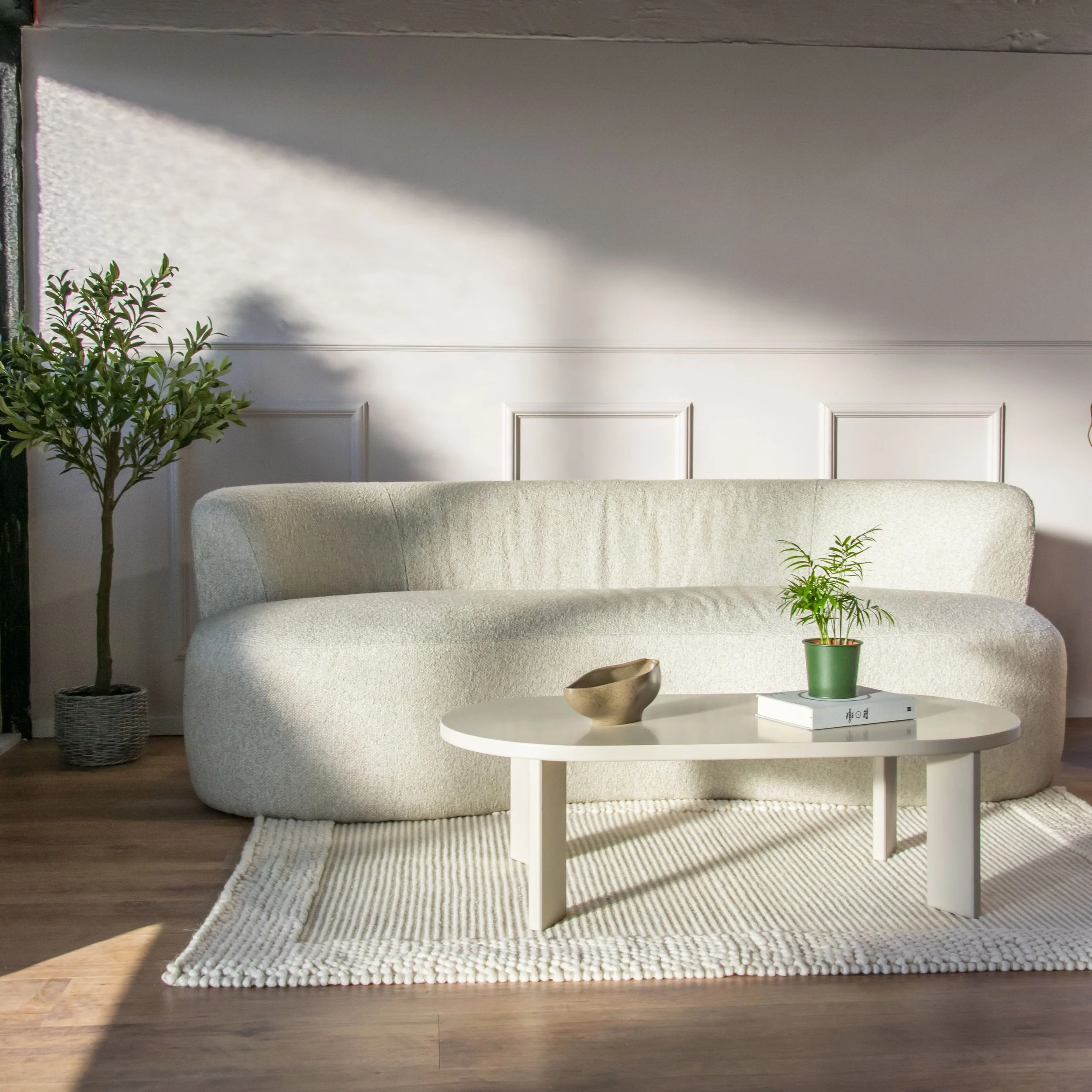 A bright living room with a white couch, a white oval coffee table, plants in a pot and a book, a rectangular textured white rug, and wooden flooring, with sunlight casting shadows on the wall.