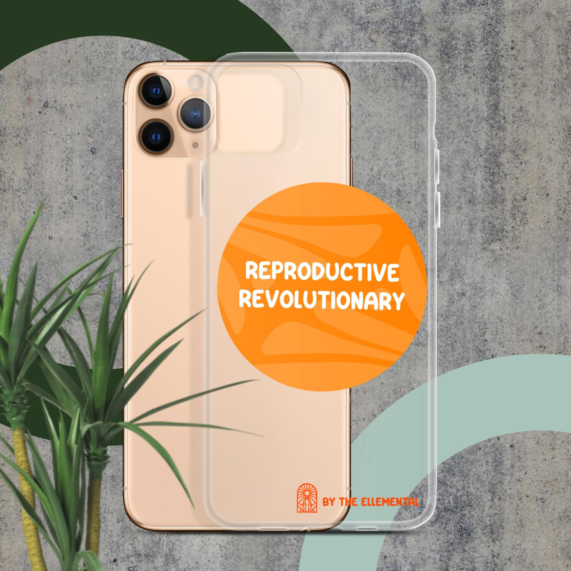 clear-case-for-iphone-iphone-11-pro-max-case-with-phone-67a8d2525e35a.jpg