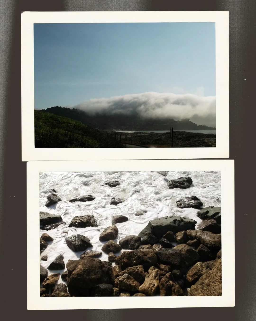 Is anyone else on a quest to free themselves from doomscrolling this summer?

I left my phone in my office and brought a ye olde digital camera on my post-session walk instead. Let my senses pick the shots: the crash of waves, the texture of wet rock