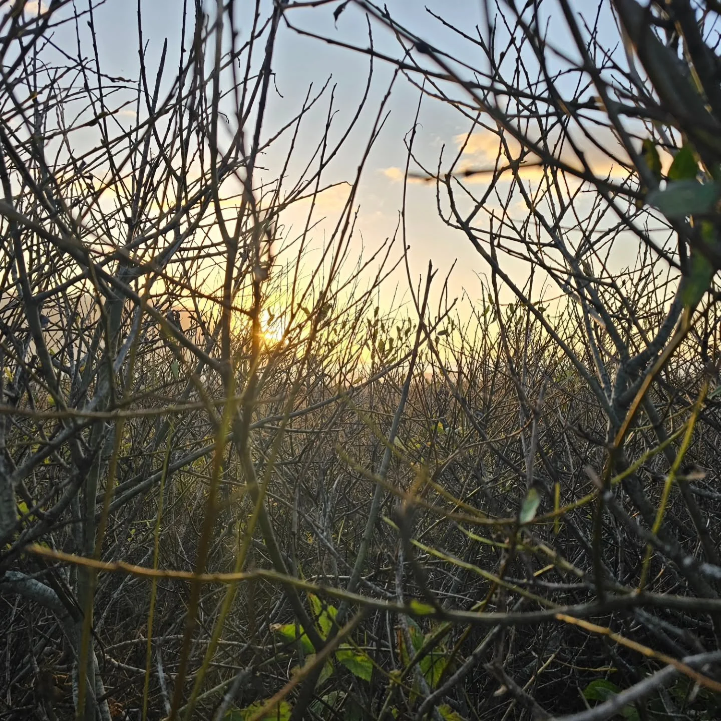 Here's a tiny dose of ecotherapy today ☀️

When you&rsquo;re overwhelmed or scattered, changing your sensory environment can do more than forcing yourself to &ldquo;think differently.&rdquo;
Sun, wind, water, &amp; movement... your body recognizes th