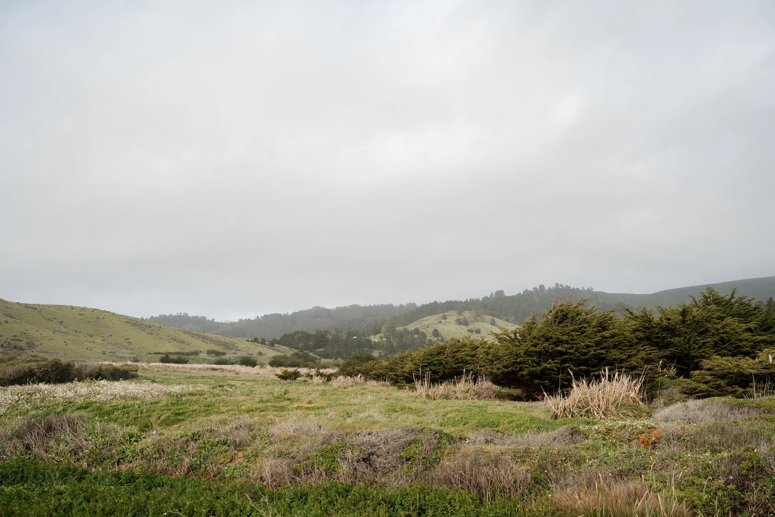 Why Unstructured Time (Especially Outdoors) Helps Kids With Aggression &amp; Attention Challenges