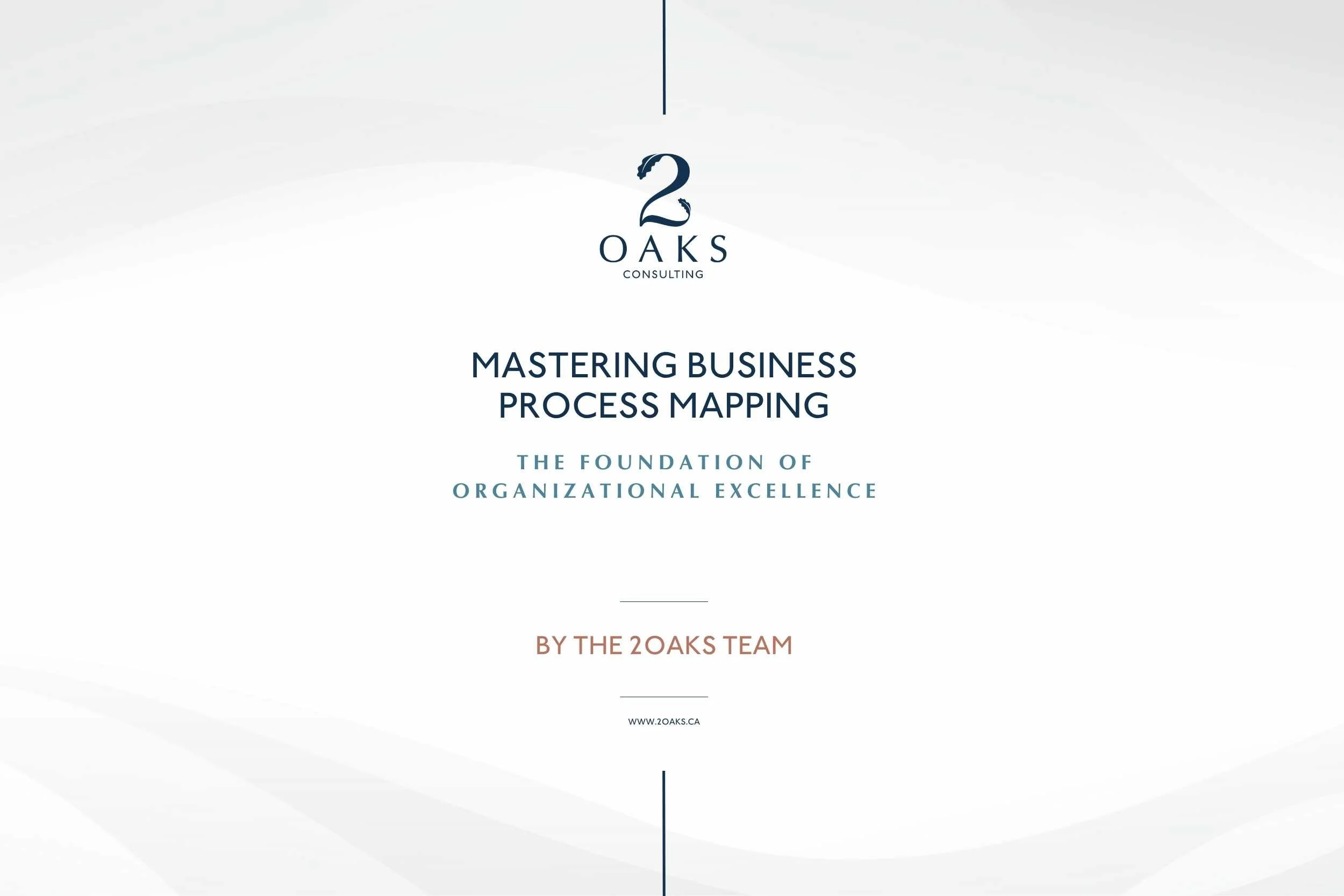 Download 2Oaks business process mapping guide for organizational excellence