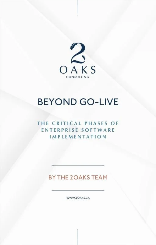 Download the whitepaper: Beyond Go-Live - The Critical Phases of Enterprise Software Implementation.