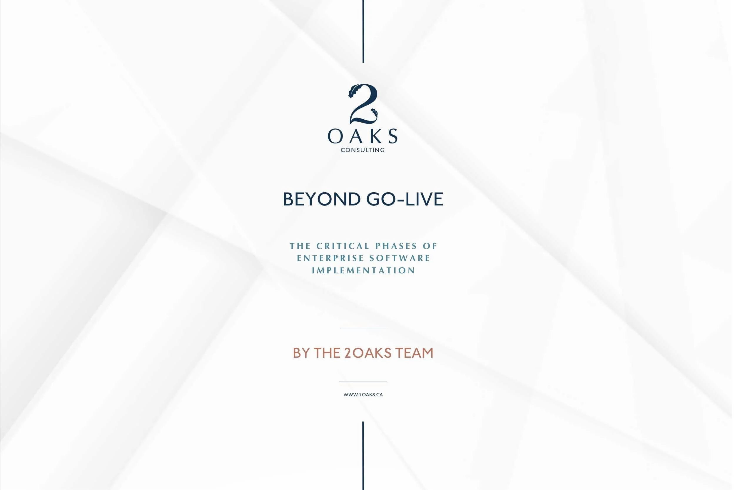 Download 2Oaks beyond go-live software implementation guide for financial institutions