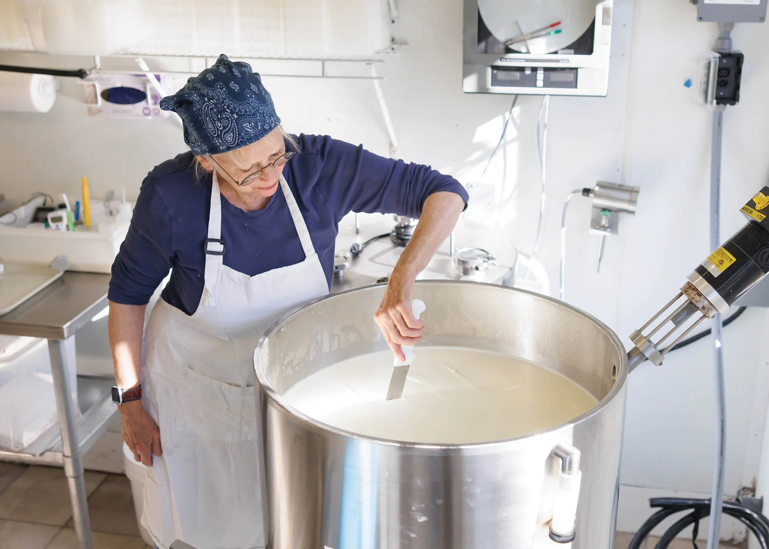 Cheesemaker stirring cheese over a vat.
