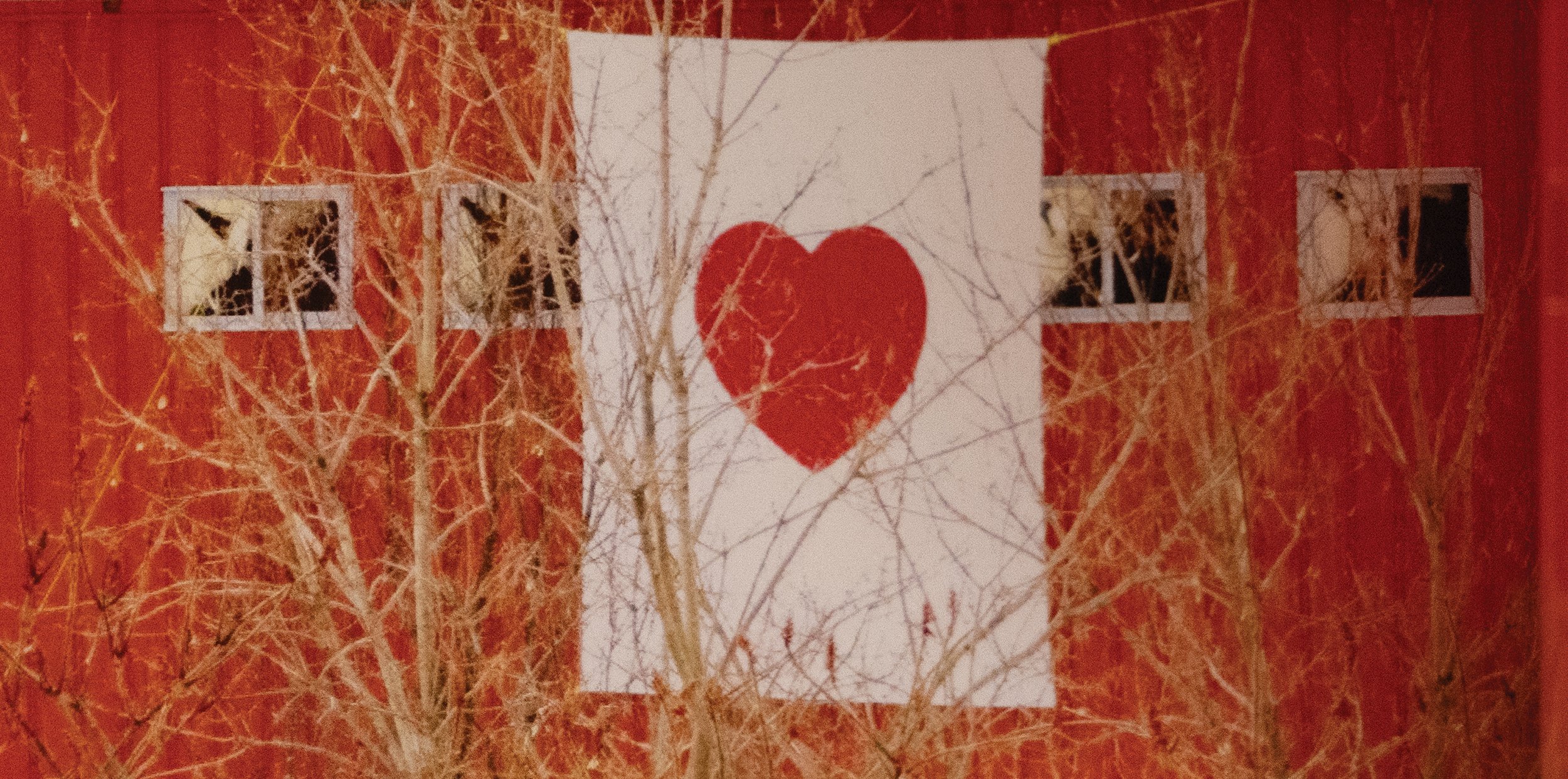 The City that Wakes up to Love