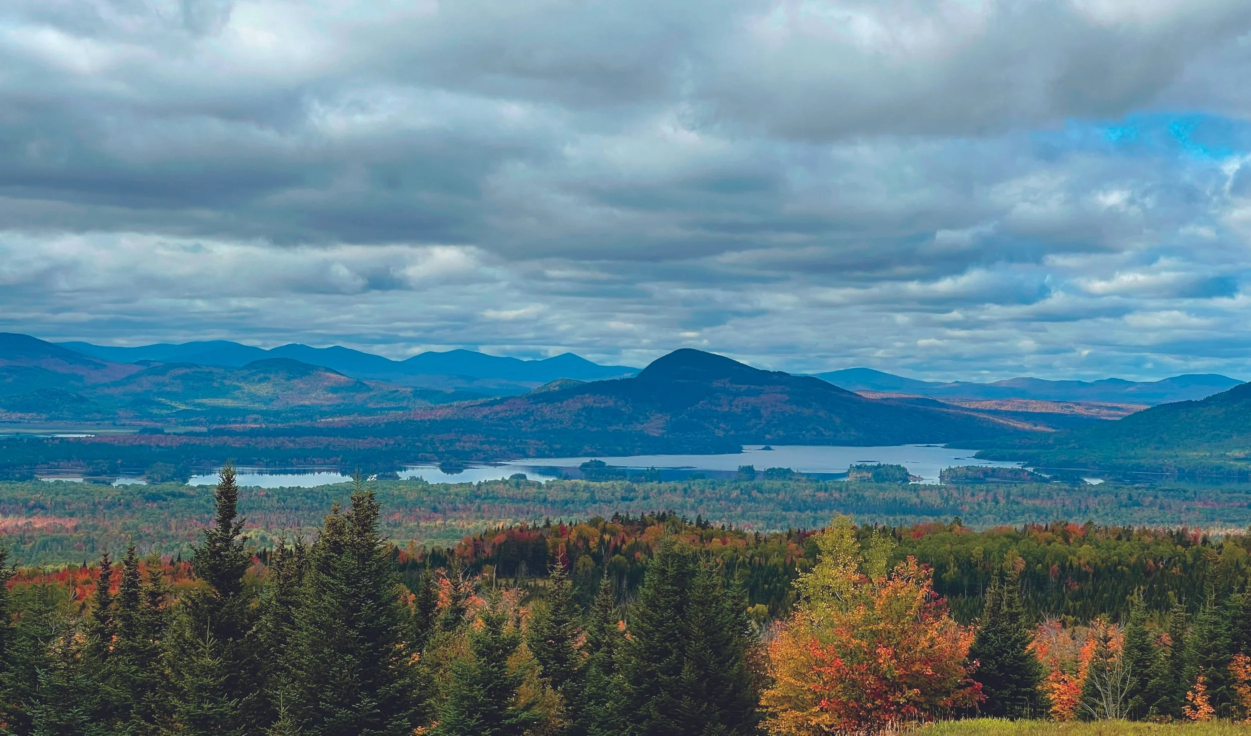 aerial-view-of-autumn-trees-near-a-lake-and-mounta-2026-01-07-23-07-30-utc.jpg