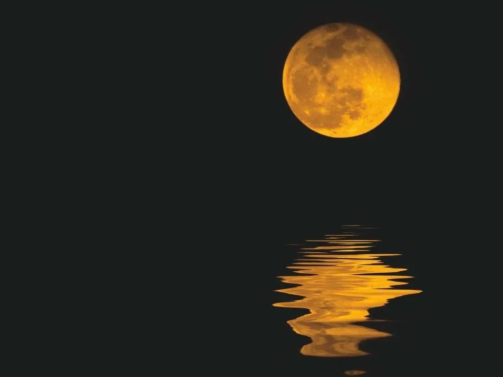 Harvest Moon