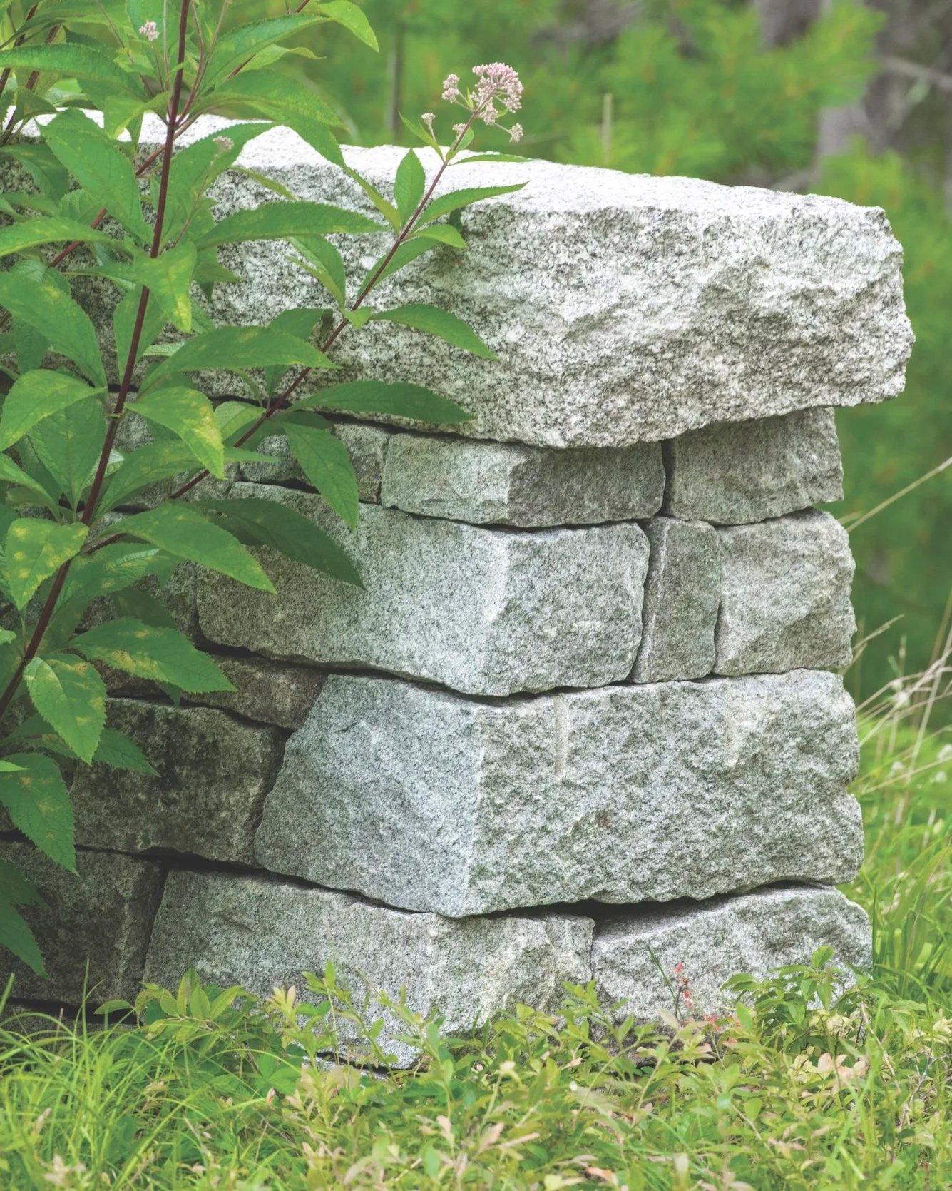 Maine Stone Wall