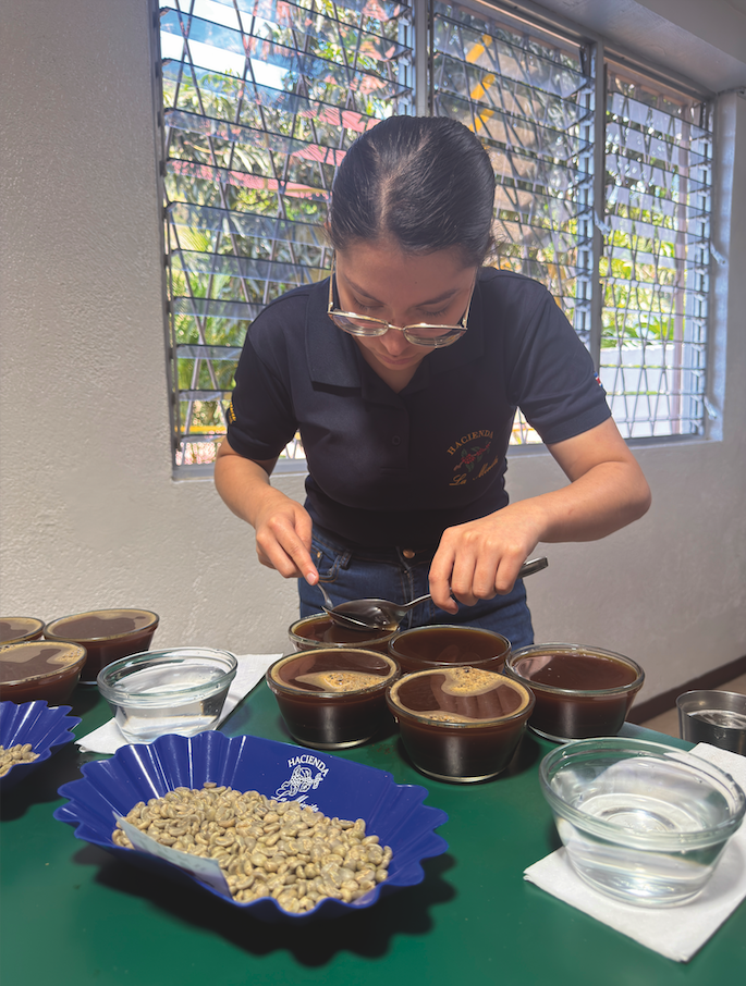 Cupping