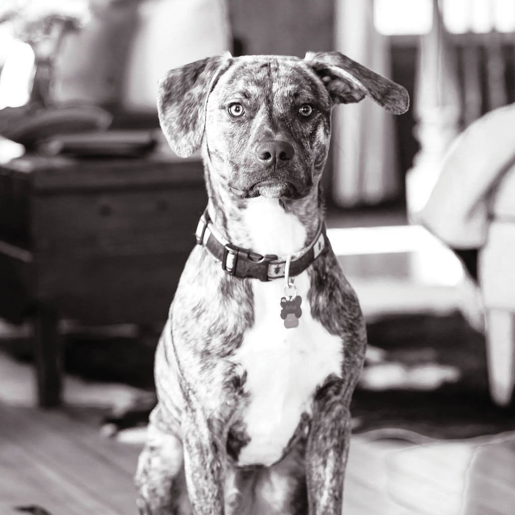 King Arthur of Quite a Lot