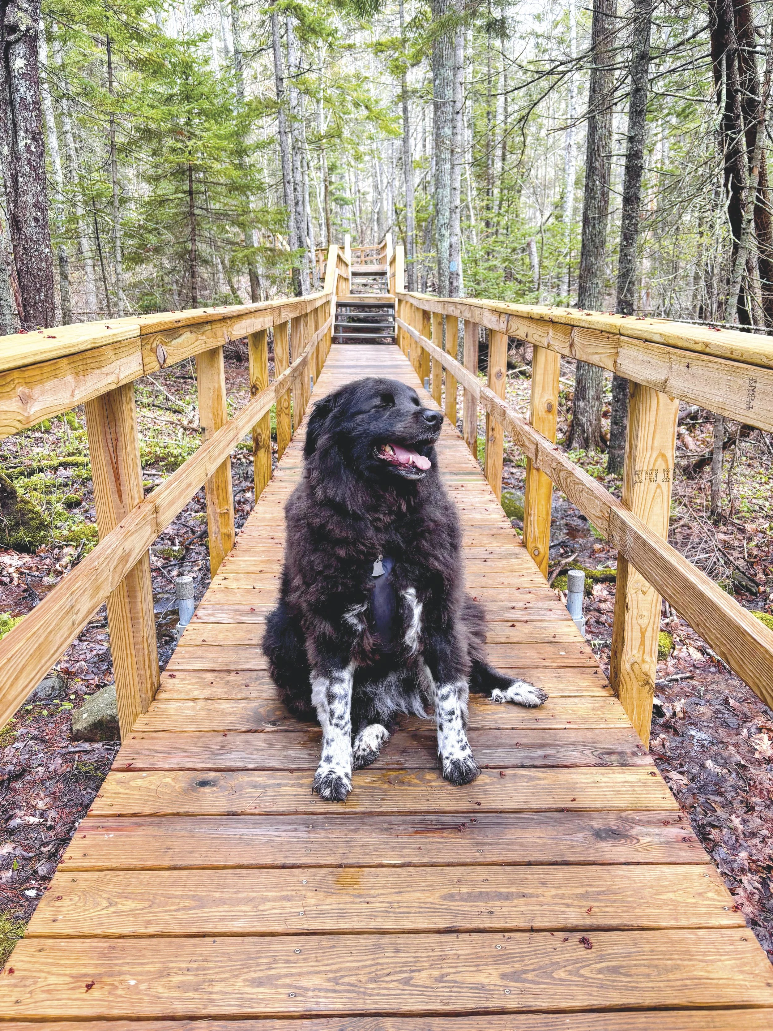 Camden Hills State Park