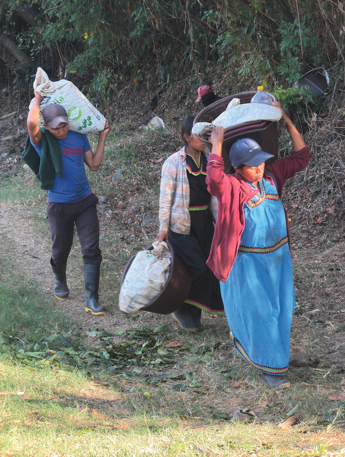Carrying Coffee Beans