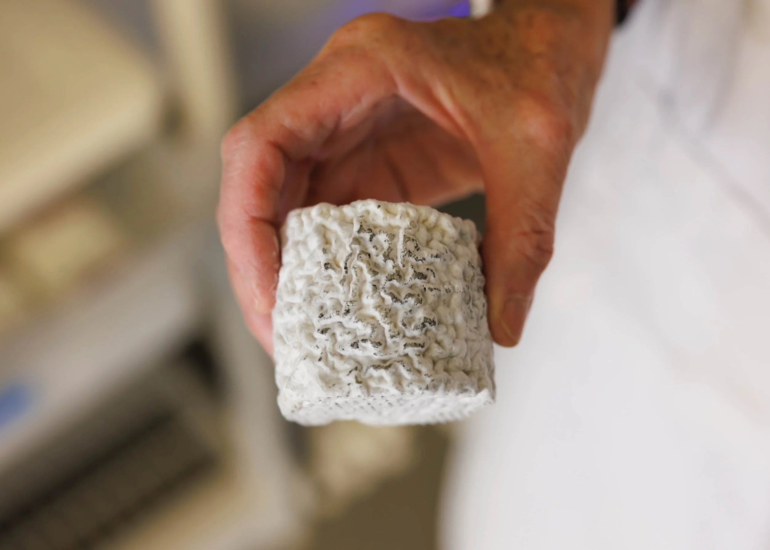 Hand displaying mound of cheese.