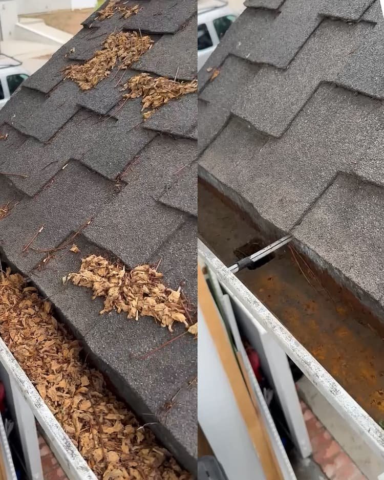 A backyard swimming pool filled with leaves, with a patio and landscaping including a tall palm tree, hedges, and small bushes. There's a pool cleaning tool and a shadow of a person in the foreground.