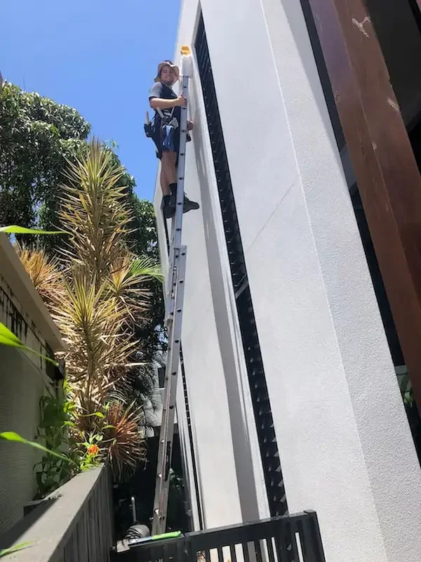 A person is on a ladder cleaning the exterior of a building on a sunny day, with trees and plants nearby.