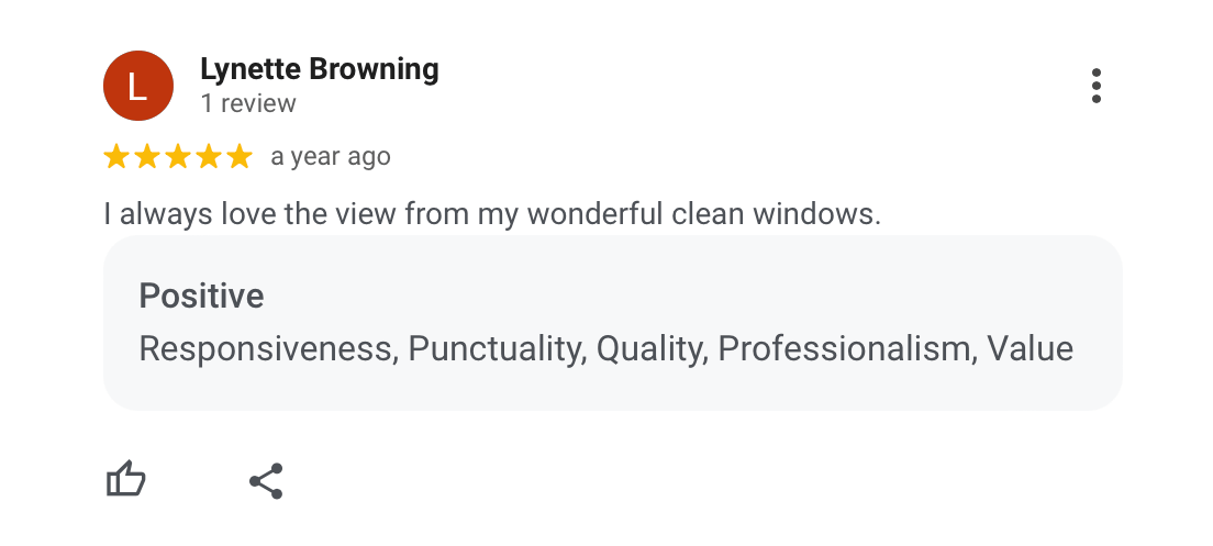 Google review for a window cleaning service, five-star rating, praised the the view from clean windows, mentions responsiveness, punctuality, quality, professionalism, and value.