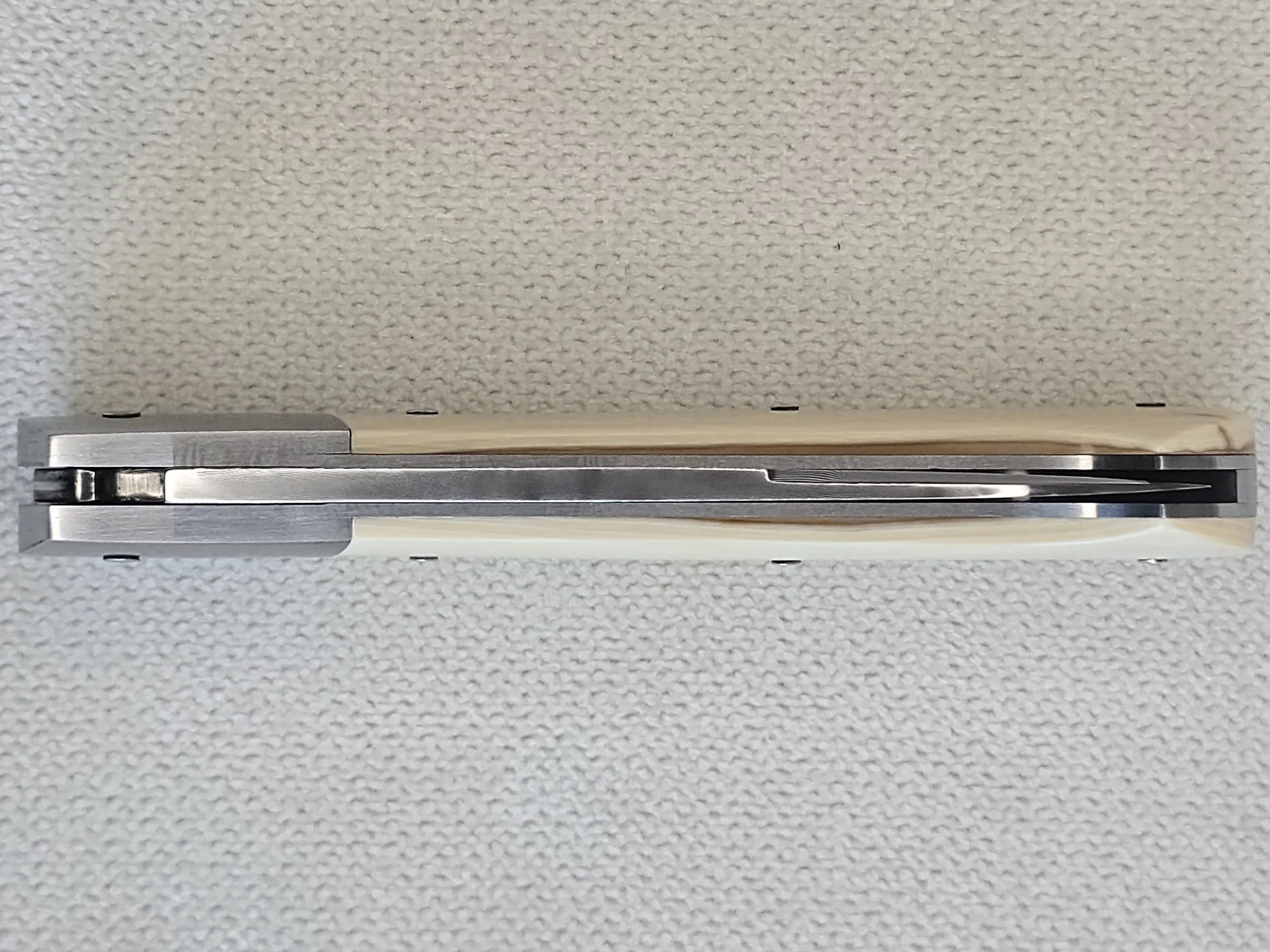 1000045085.jpg