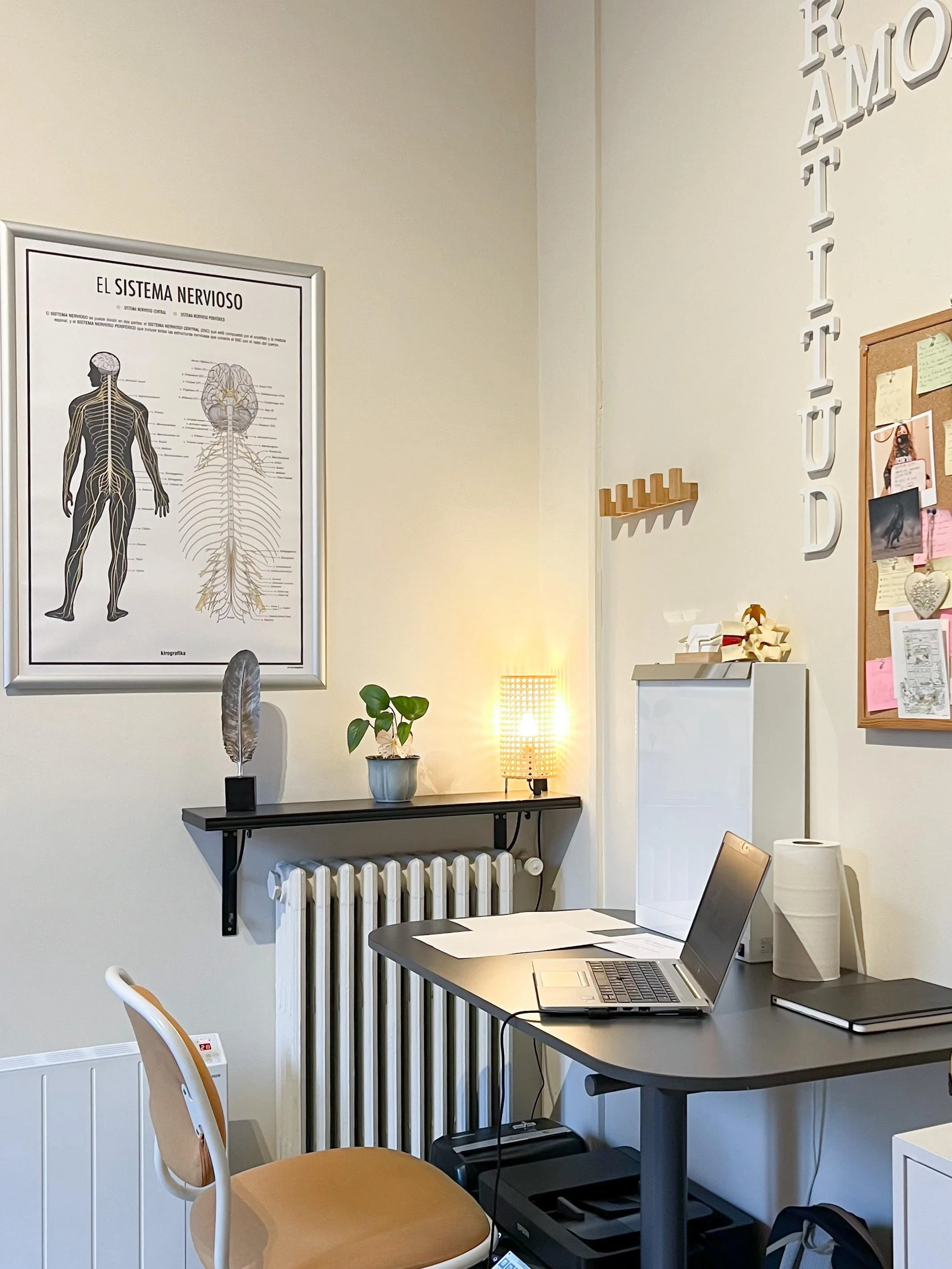 WhatsApp Image 2026-01-30 at 16.22.25 (1).jpeg