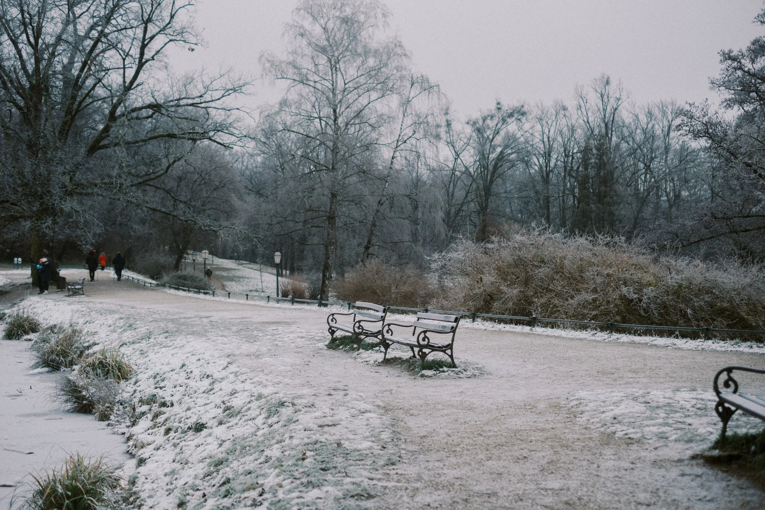 Maksimir-61.jpg